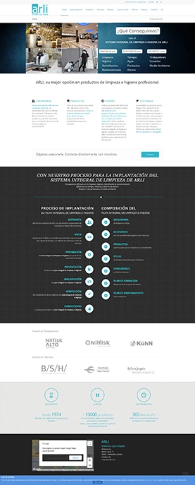 Arli Sistemas que limpian web realizada por Zinkerea Creative